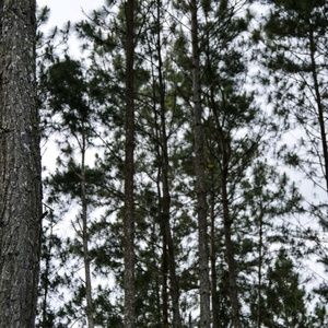 Meet your Posher, Kristine